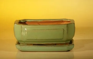 Light Green Ceramic Bonsai Pot - Rectangle Professional Series with Attached Humidity/Drip tray 6.37" x 4.75" x 2.625"