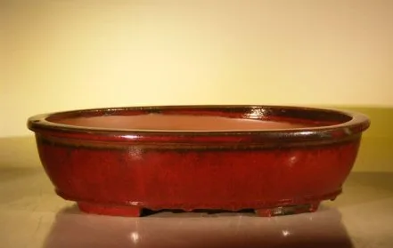 Parisian Red Ceramic Bonsai Pot - Oval 16.0" x 12.5" x 4.0"