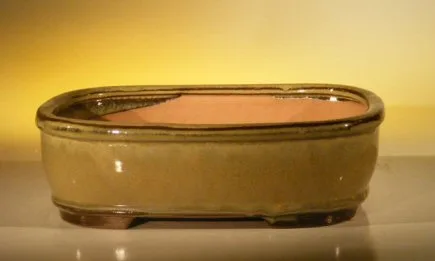 Olive Green Rectangle Ceramic Bonsai Pot