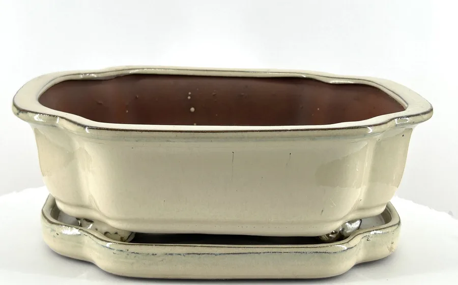Beige Rectangle Ceramic Bonsai Pot With Humidity / Drip Tray
