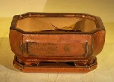 Aztec Orange Ceramic Bonsai Pot - Rectangle Professional Series with attached Humidity/Drip tray 6.37" x 4.75" x 2.625"