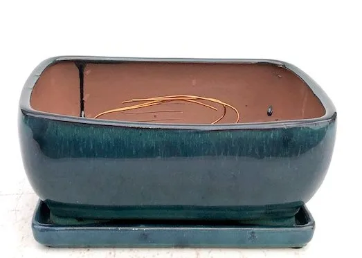 Blue / Green Ceramic Bonsai Pot - Rectangle Professional Series with Attached Humidity/Drip Tray 10.75" x 8.5" x 4.125"