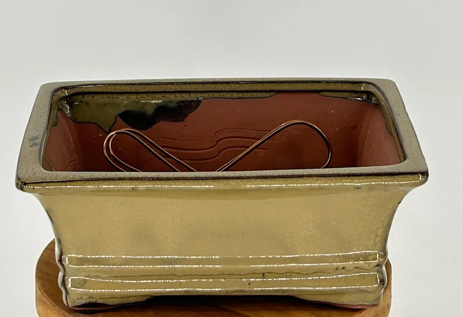 Olive Green Ceramic Bonsai Pot - Rectangle Professional Series 8.25" x 6.25" x 3.25"