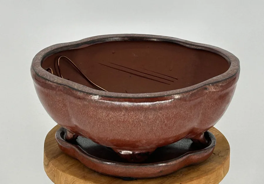 Aztec Orange Ceramic Bonsai Pot - Lotus Shape Attached Humidity/Drip tray 8.5" x 6.5" x 3.5"