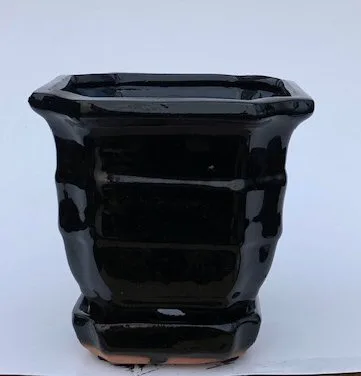 Black Ceramic Bonsai Pot - Square With Attached Humidity / Drip Tray 5.5" x 5.5" x 5.5"
