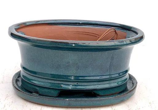 Blue / Green Ceramic Bonsai Pot - Oval Professional Series with Attached Humidity/Drip Tray 10.75" x 8.5" x 4.125"