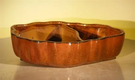 Aztec Orange Ceramic Bonsai Pot - Oval with Scalloped Edges - Land/Water Divider 8.75" x 6.0" x 3.0"