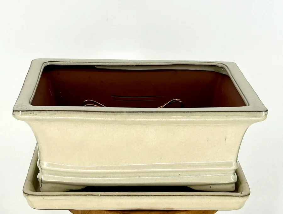 Beige Ceramic Bonsai Pot - Rectangle Professional Series with Attached Humidity/Drip tray 10.5" x 8.25" x 4.75"