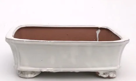 White Ceramic Bonsai Pot - Rectangle 8.5" x 6.5" x 3.0"