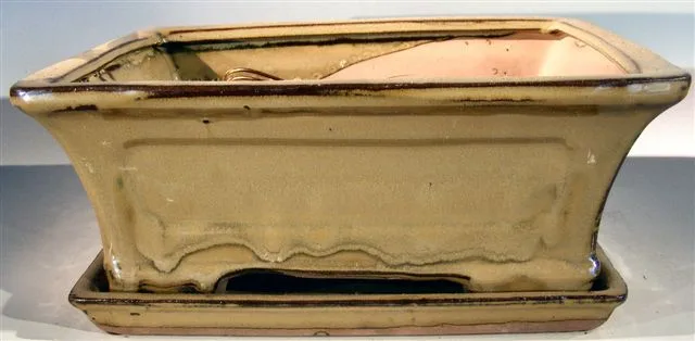 Olive Green Ceramic Bonsai Pot - Rectangle Professional Series with Attached Humidity/Drip Tray 10.25" x 8.0" x 4.125" OD 9.0" x 7.0" x 3.25