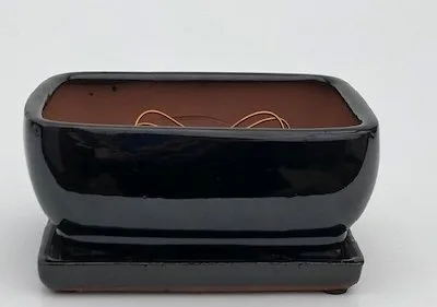 Black Ceramic Bonsai Pot- Rectangle Professional Series With Attached Humidity/Drip Tray 8.25" x 6.0" x 4.0"
