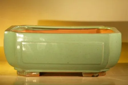Green Ceramic Bonsai Pot - Rectangle Professional Series 12.0" x 9.5" x 4.75"
