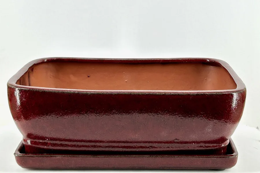 Parisian Red Rectangle Ceramic Bonsai Pot With Humidity / Drip Tray