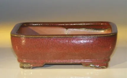 Parisian Red Ceramic Bonsai Pot - Rectangle 7.0" x 5.5" x 2.375"