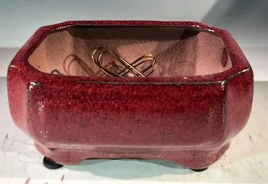 Parisian Red Ceramic Bonsai Pot - Rectangle Professional Series 6" x 4" x 2"