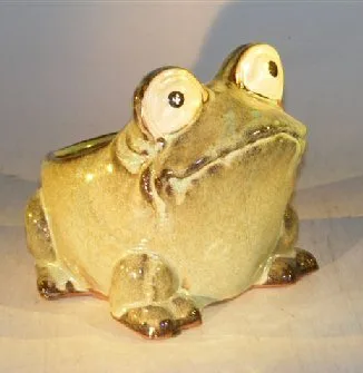Light Green Frog Planter 7.0" x 9.0" x 7.5"