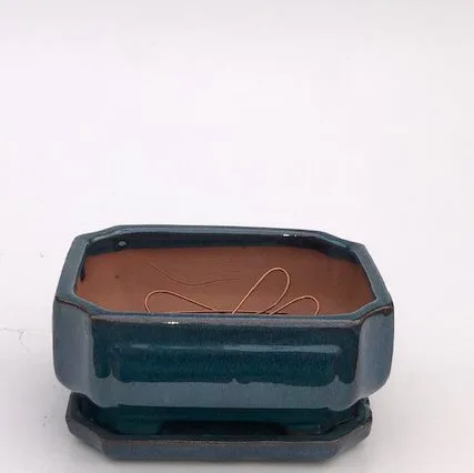Blue / Green Ceramic Bonsai Pot - Rectangle Professional Series with Attached Humidity/Drip tray 8.25" x 6.5" x 4.0"