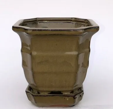 Olive Green Ceramic Bonsai Pot - Square With Attached Humidity / Drip Tray 5.5" x 5.5" x 5.5"