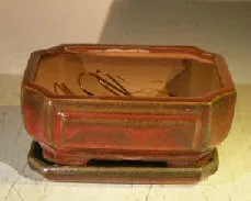 Parisian Red Ceramic Bonsai Pot - Rectangle Professional Series with Attached Humidity/Drip tray 6.37" x 4.75" x 2.625"