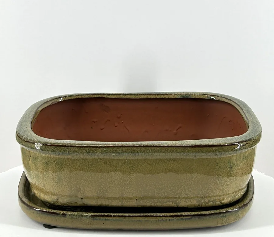 Olive Green Rectangle Ceramic Bonsai Pot With Humidity Drip Tray