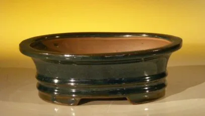 Dark Green Ceramic Bonsai Pot - Oval 8 1/8" x 6.75" x 2.75"