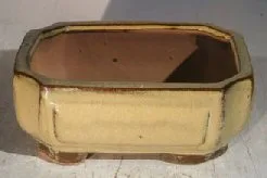 Olive Green Ceramic Bonsai Pot - Rectangle 6.125" x 5.0" x 2.125"