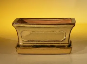 Olive Green Ceramic Bonsai Pot - Rectangle Professional Series with Attached Humidity/Drip tray 6.37" x 4.75" x 2.625"